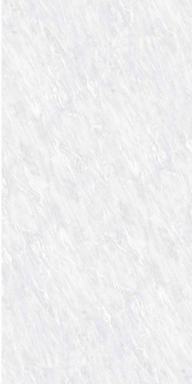 OL Vivid White Matte 24 x 48